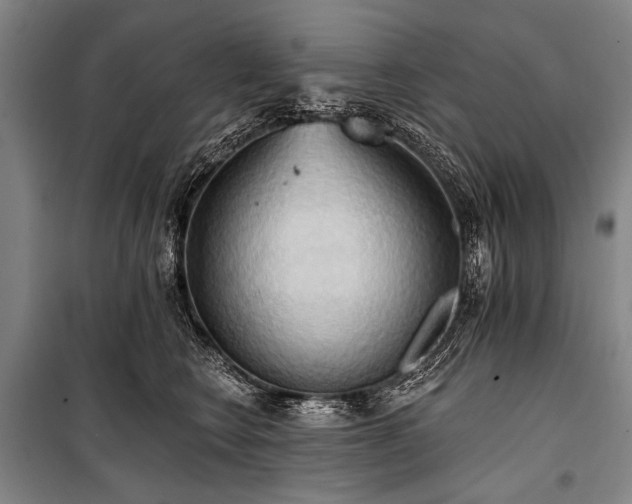 X0000101210566200806271417