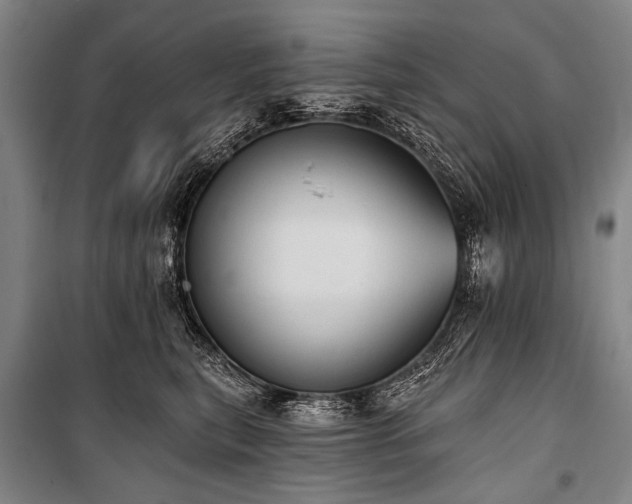 X0000101210567200806271418