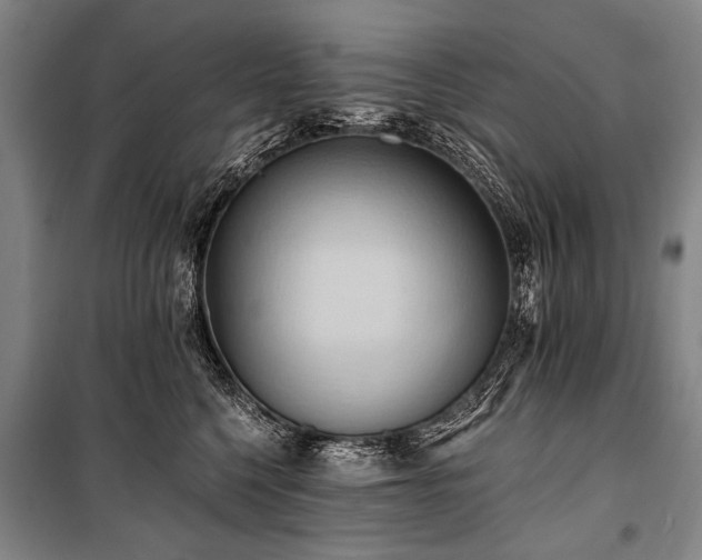 X0000101210568200806271418