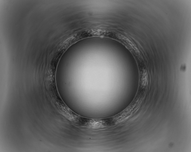 X0000101210569200806271418