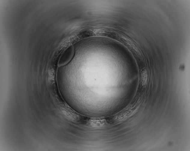 X0000101210571200806271418