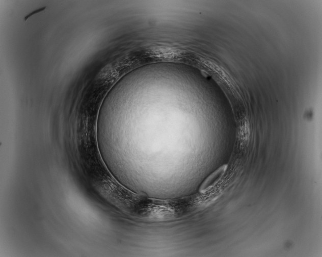 X0000101210572200806271418