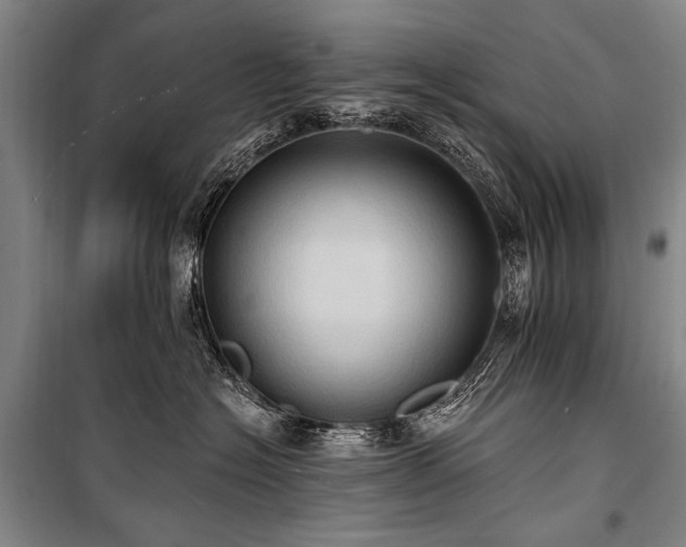 X0000101210574200806271418