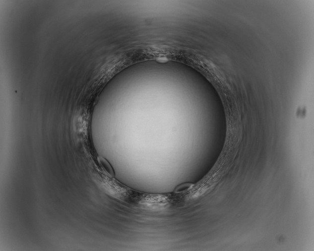 X0000101210576200806271418