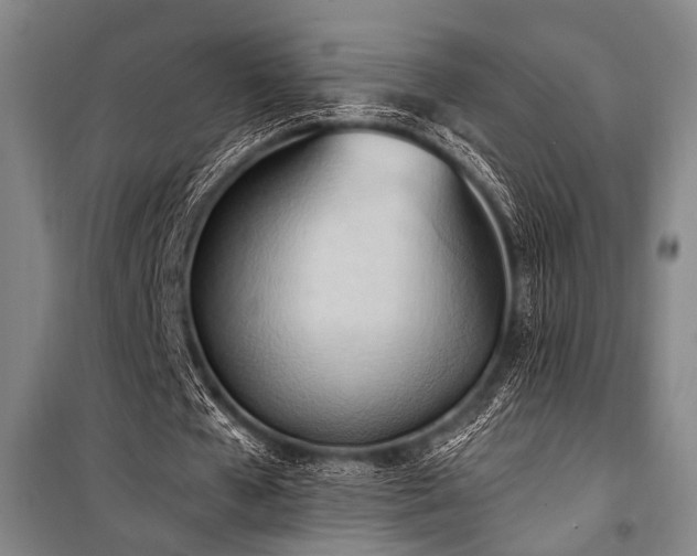 X0000101210577200806271417