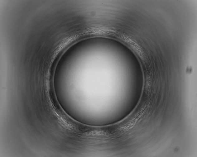 X0000101210578200806271417