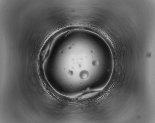 X0000101210580200806271417