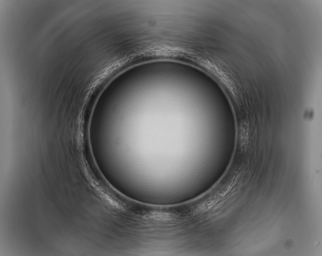 X0000101210581200806271417