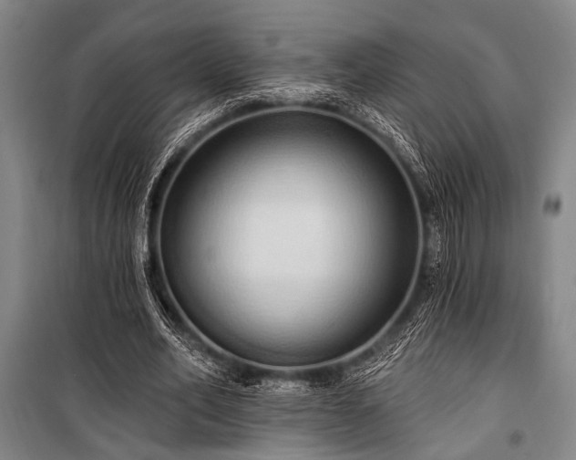 X0000101210582200806271417