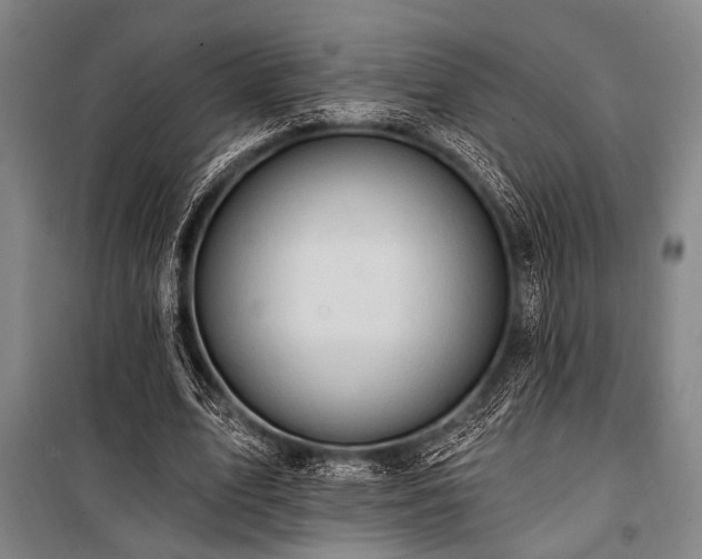 X0000101210583200806271417