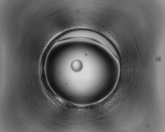 X0000101210584200806271417