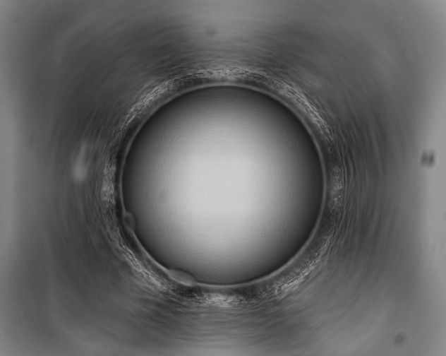 X0000101210585200806271417