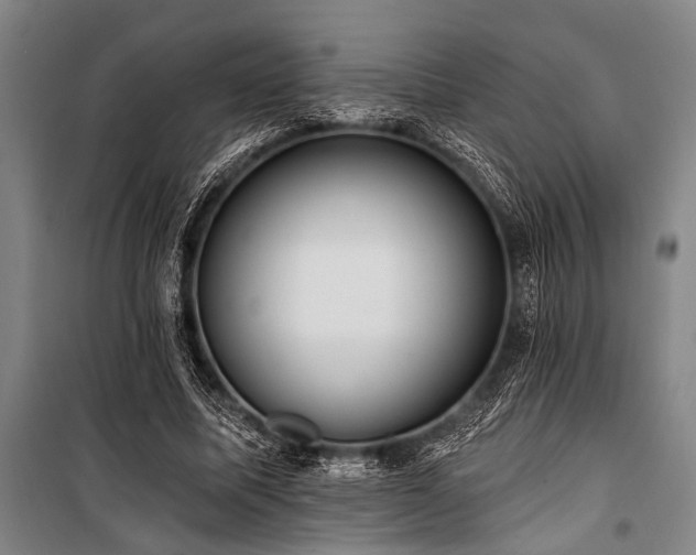 X0000101210587200806271417