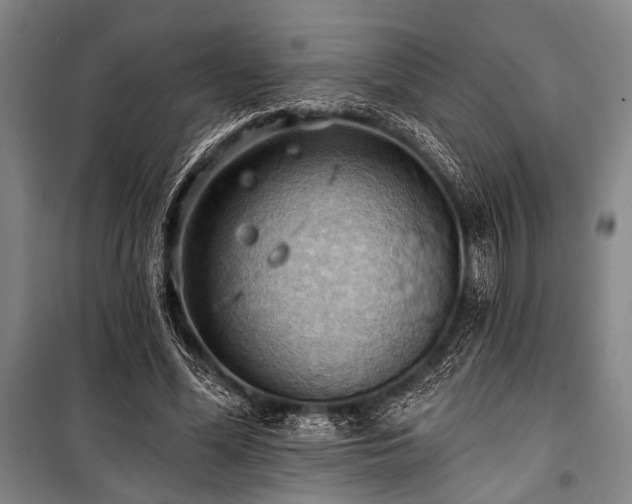 X0000101210588200806271417