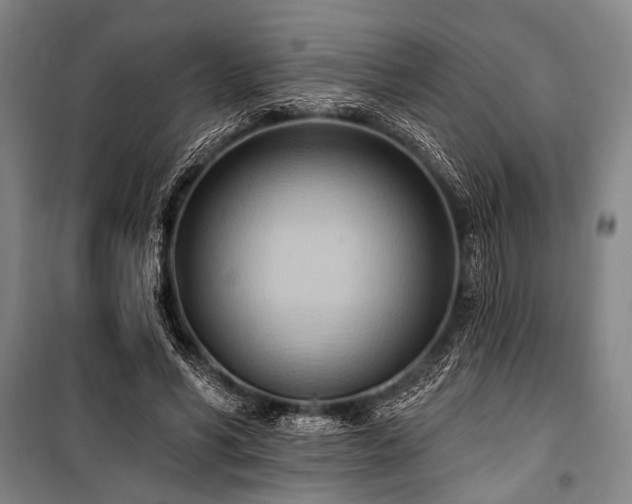 X0000101210590200806271417