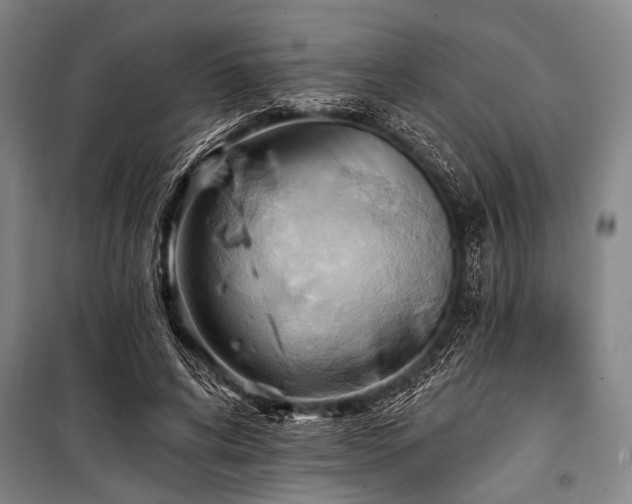 X0000101210592200806271417