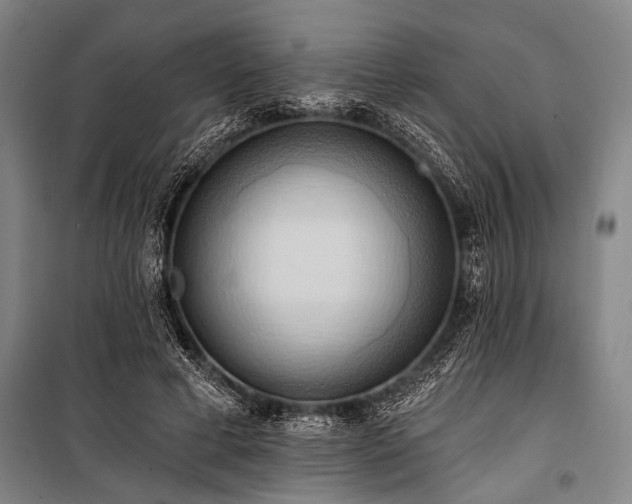 X0000101210593200806271417