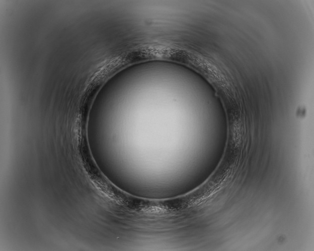 X0000101210594200806271417