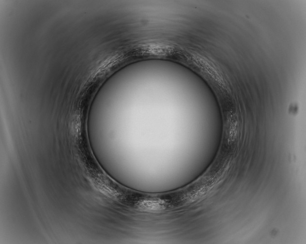 X0000101210595200806271417