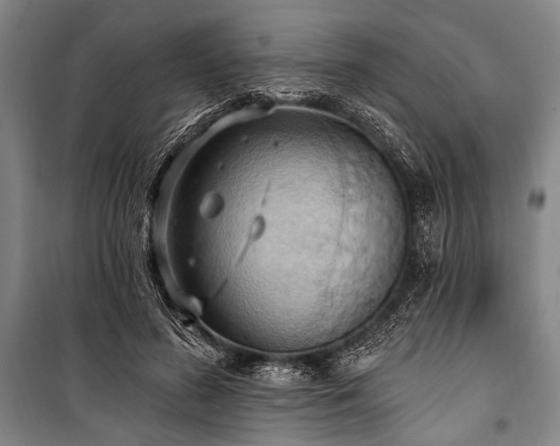 X0000101210596200806271417