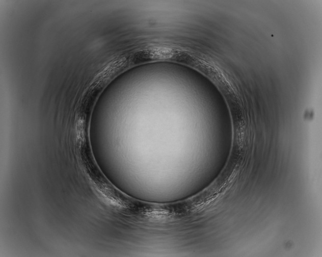 X0000101210598200806271417