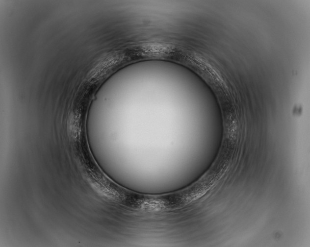 X0000101210599200806271417