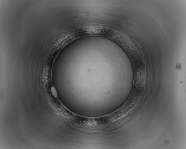 X0000101210600200806271417