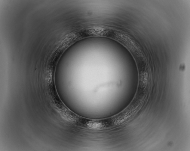 X0000101210602200806271416