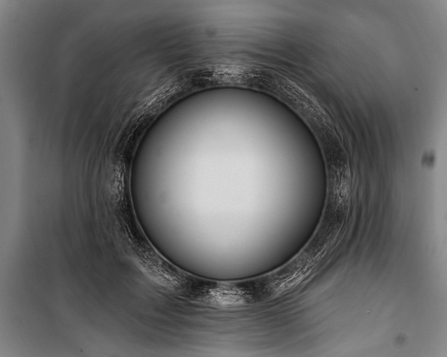 X0000101210603200806271416