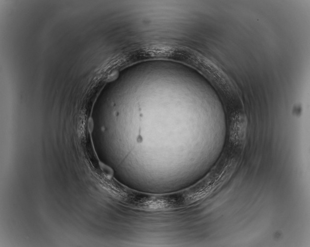 X0000101210604200806271416