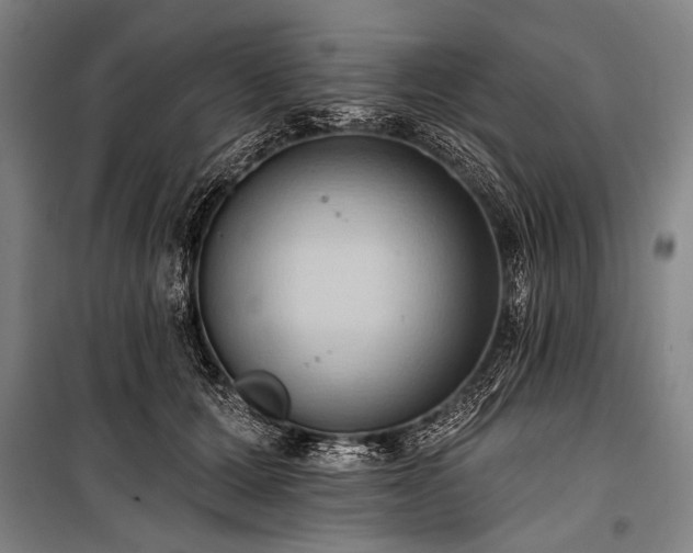 X0000101210607200806271416