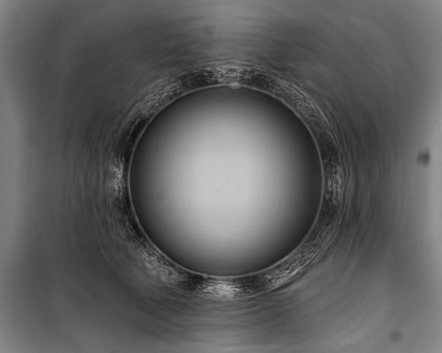 X0000101210610200806271416