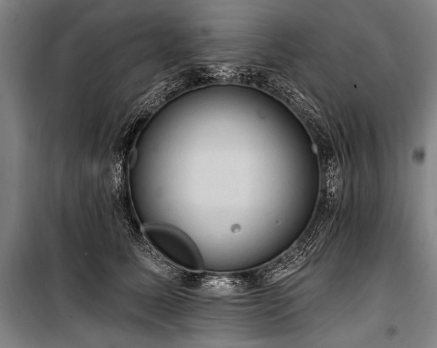 X0000101210611200806271416