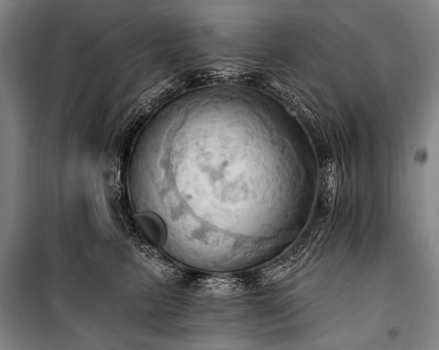 X0000101210615200806271416