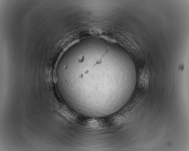 X0000101210616200806271416