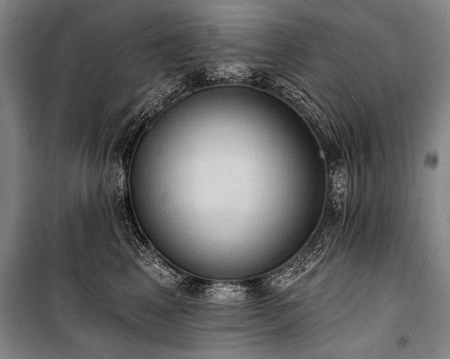 X0000101210617200806271416