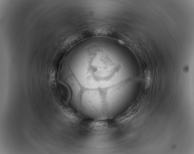 X0000101210619200806271416