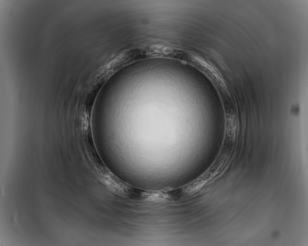 X0000101210621200806271416