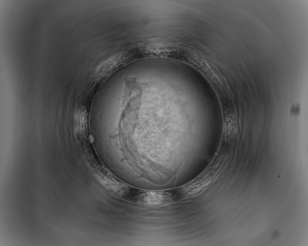 X0000101210623200806271416