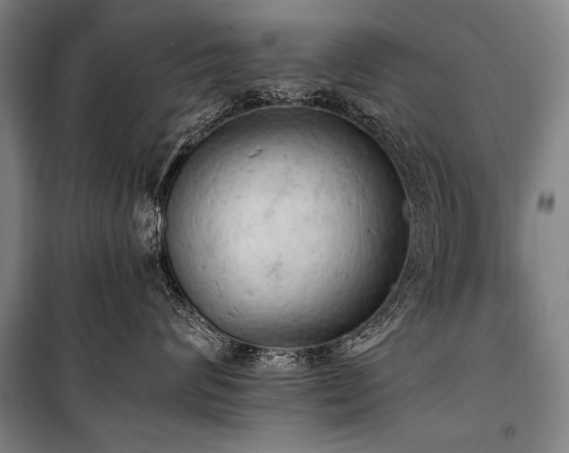 X0000101210624200806271416