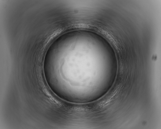 X0000101210625200806271415