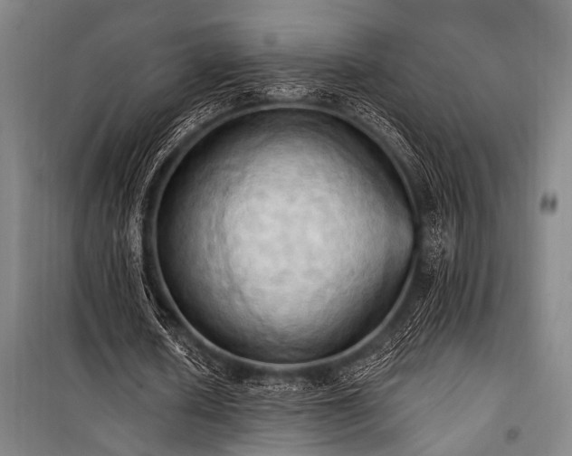 X0000101210626200806271415