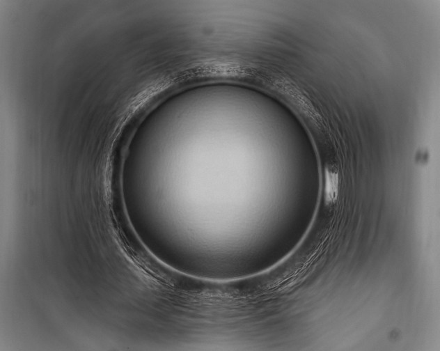 X0000101210627200806271415