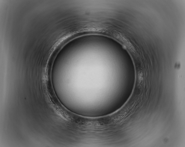 X0000101210628200806271416