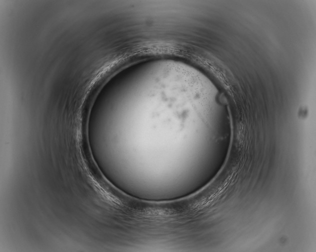 X0000101210629200806271416