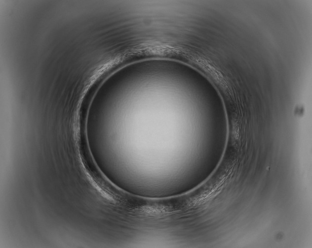 X0000101210630200806271416