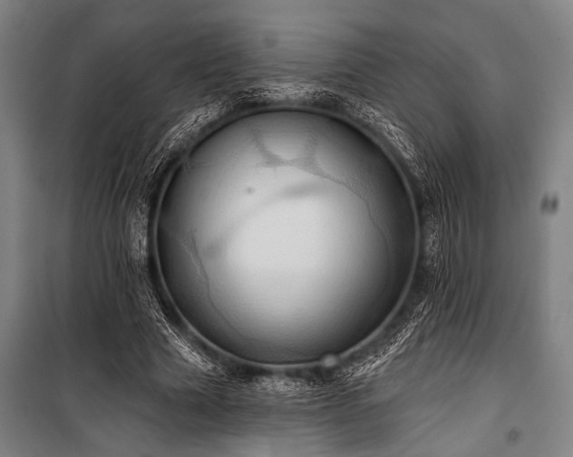 X0000101210633200806271416