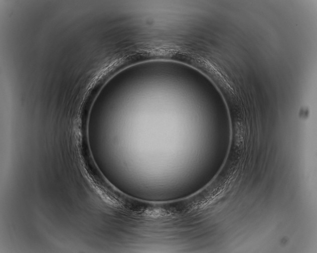 X0000101210634200806271416