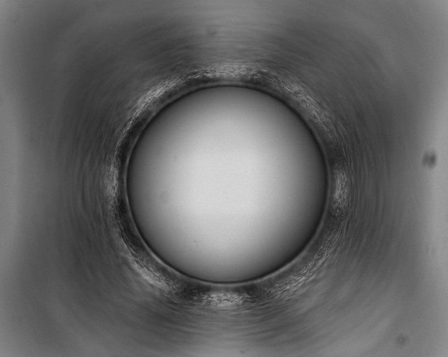 X0000101210636200806271416