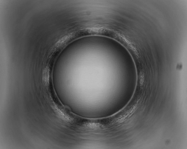 X0000101210637200806271416